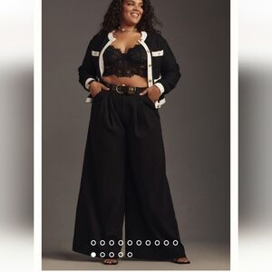 Anthropologie The Avery Pleated Wide-Leg Trousers by Maeve | Size 20W